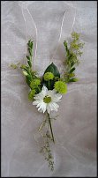 www.floristic.ru - .    