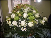www.floristic.ru - .    (   , , )