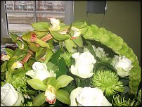 www.floristic.ru - .    (   , , )