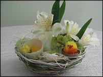 www.floristic.ru - .  