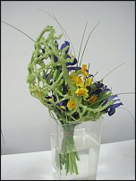 www.floristic.ru - .   