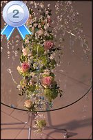 www.floristic.ru - Флористика. Победители и участники