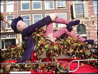 www.floristic.ru - Флористика. Фестиваль цветов в Голландии