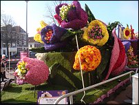 www.floristic.ru - .    