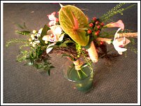 www.floristic.ru - .  