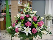 www.floristic.ru - .  .