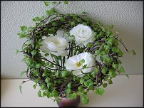 www.floristic.ru - .   