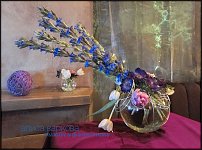 www.floristic.ru - .  .