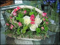 www.floristic.ru - . ,  .