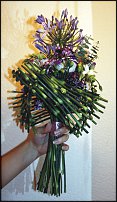 www.floristic.ru - .   