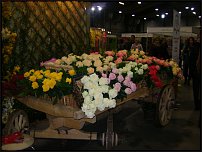 www.floristic.ru - .   