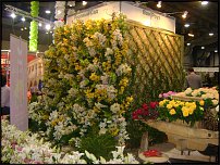 www.floristic.ru - .   