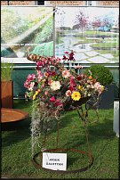 www.floristic.ru - .  .