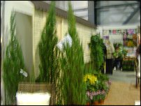 www.floristic.ru - .    