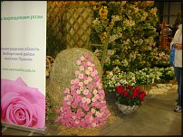 www.floristic.ru - .    