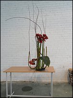 www.floristic.ru - . Gregor Lersch