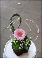 www.floristic.ru - .  