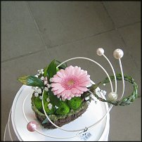 www.floristic.ru - .  