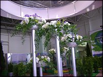 www.floristic.ru - .    