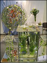 www.floristic.ru - . .  "   "  . 2010