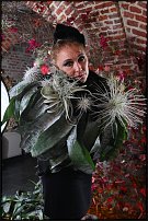 www.floristic.ru - .  .