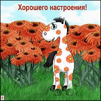 www.floristic.ru - .    !