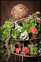 www.floristic.ru - .   ""  -