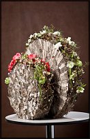 www.floristic.ru - .   ""  -