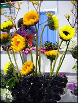 www.floristic.ru - .   