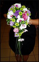 www.floristic.ru - .  .