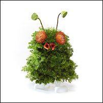 www.floristic.ru - .   ?