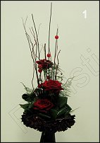 www.floristic.ru - .  - 2011 -  ()