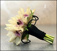 www.floristic.ru - .  - 2011 -  ()