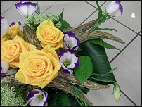 www.floristic.ru - .  - 2011 -  ()