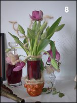 www.floristic.ru - .  - 2011 -  ()