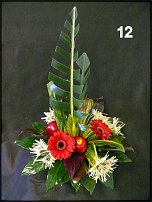 www.floristic.ru - .  - 2011 -  ()