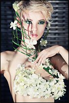 www.floristic.ru - .  