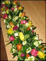 www.floristic.ru - .  .