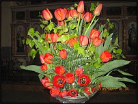 www.floristic.ru - . -  