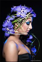 www.floristic.ru - .  