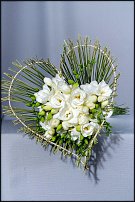 www.floristic.ru - .   " " - 29.04.2011  -    . 