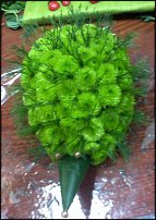 www.floristic.ru - .   ....