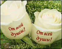 www.floristic.ru - .   ,   ?