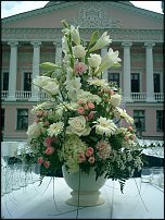 www.floristic.ru - . !!!!!