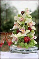 www.floristic.ru - . !!!!!