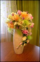 www.floristic.ru - .     -,  ..