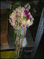 www.floristic.ru - .  .