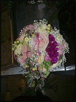 www.floristic.ru - .  .