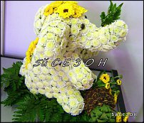 www.floristic.ru - .   ....