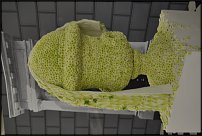 www.floristic.ru - . Euroflora 2011, Italy
